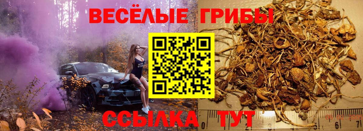 наркотики  Вход с VPN  Галлюциногенные грибы Magic Shrooms  Анжеро-Судженск  Галлюциногенные грибы ЛСД 